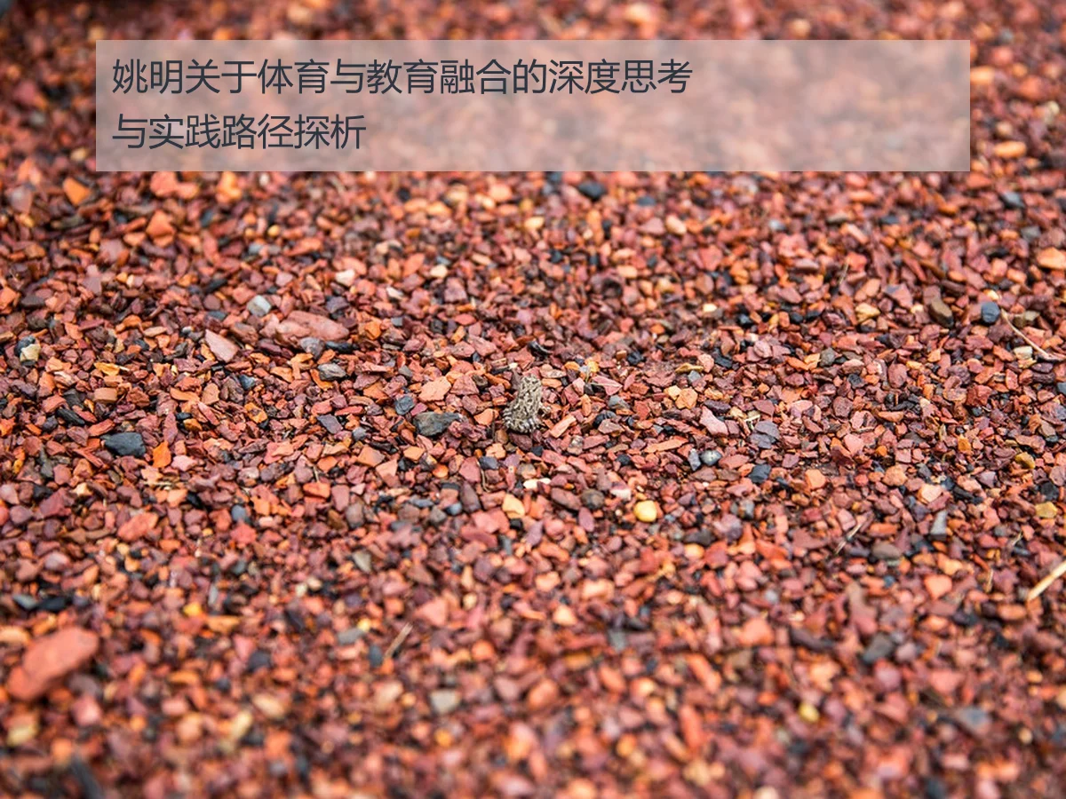 姚明关于体育与教育融合的深度思考与实践路径探析